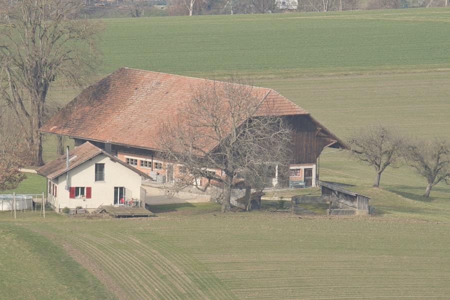 Photo Hausarbeit