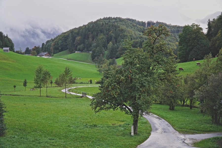 Arzttermine