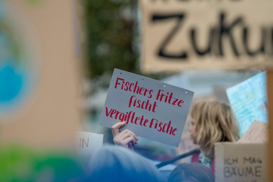 PKV für Studenten